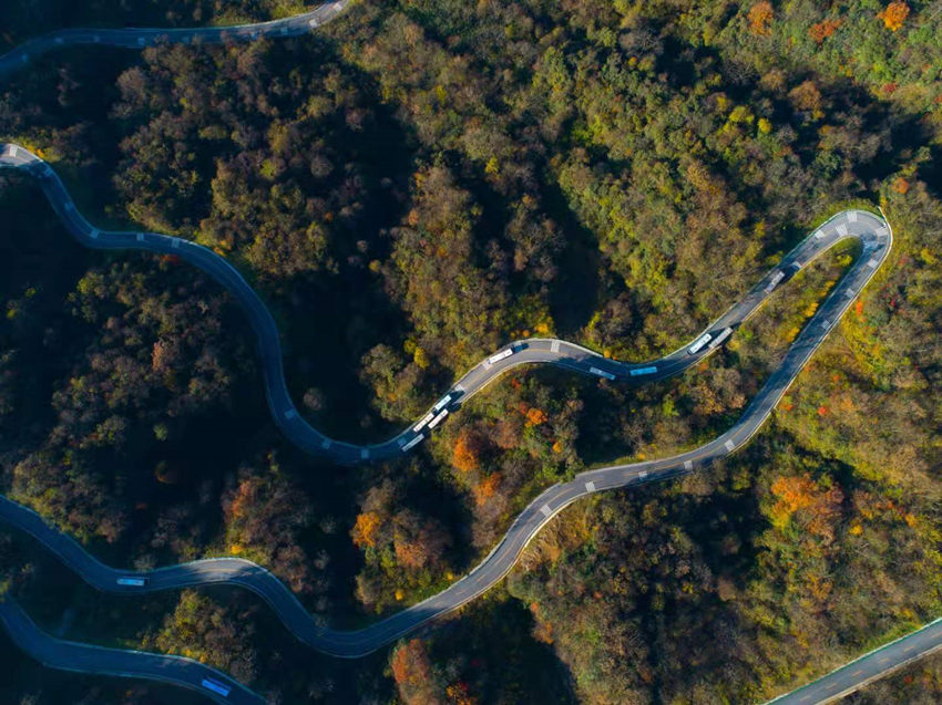 åæ±å¿æ¯åºææ¸¸å¬è·¯ãåæ±å¿å§å®£ä¼ é¨ä¾å¾