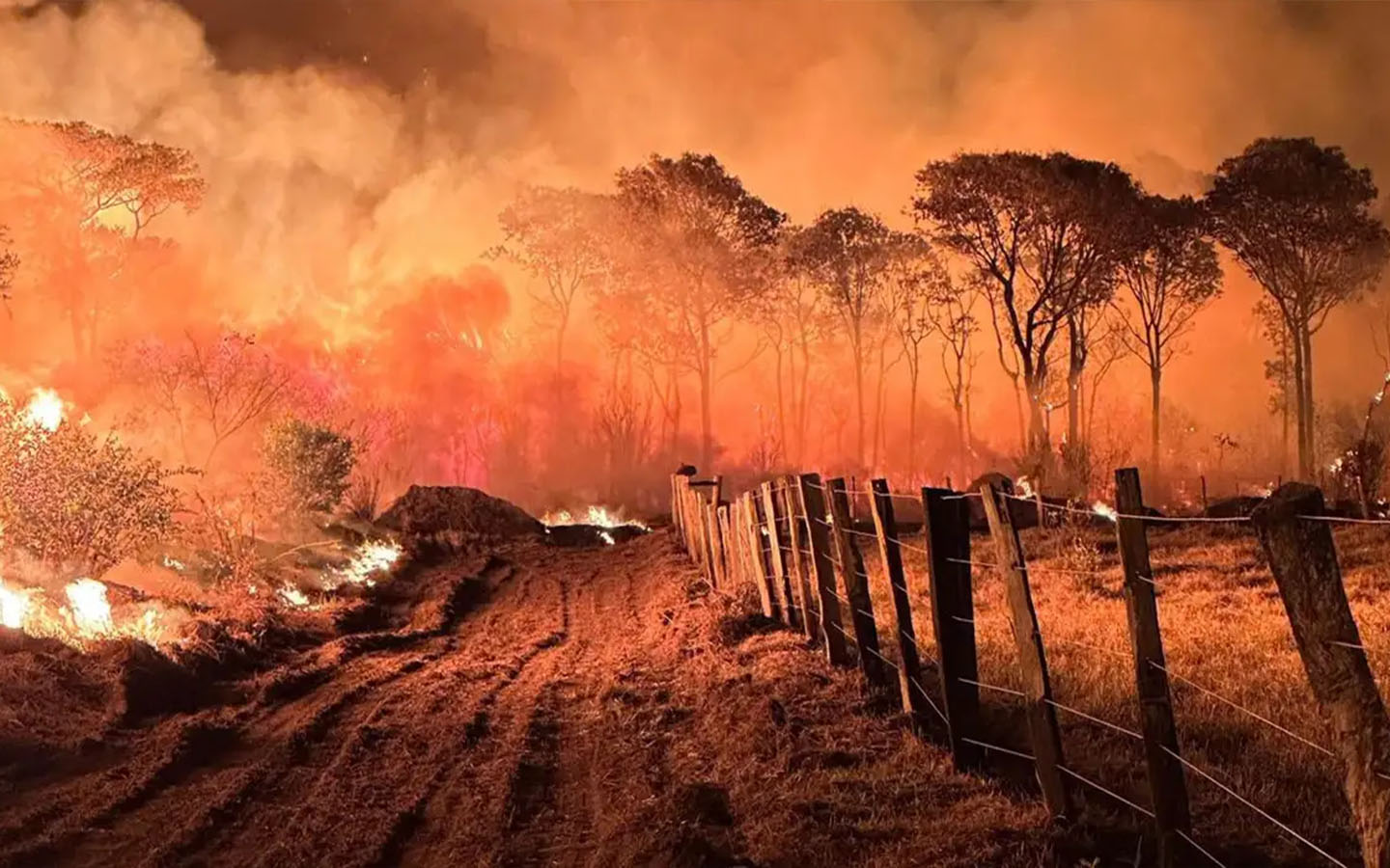 Brazil-Wildfires.jpg