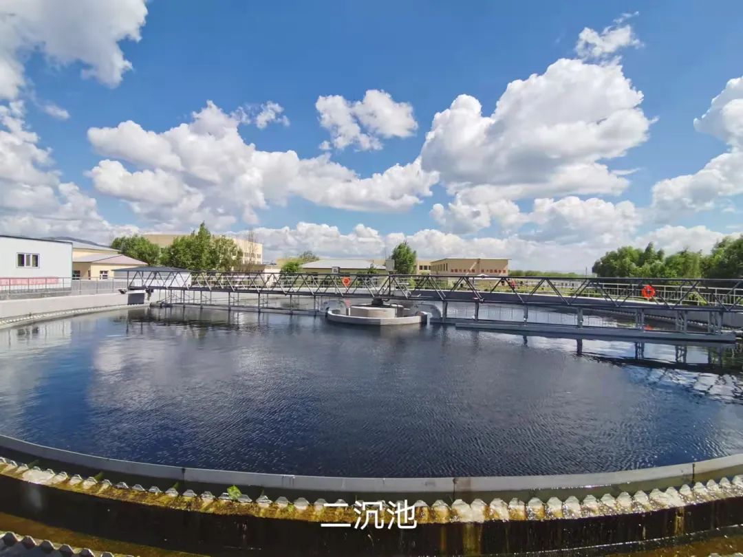 1747711310525516.jpg 1747711310525516.jpg