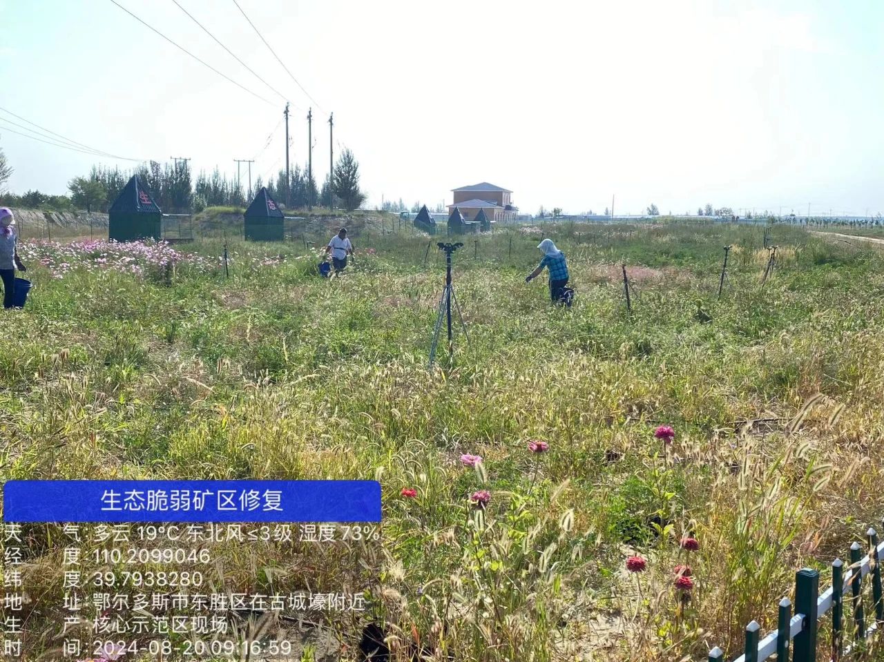 1747711455579698.jpg 1747711455579698.jpg