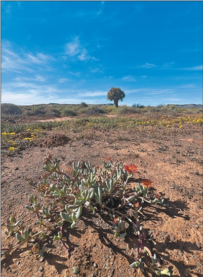 1764750526624050.png 图二.png