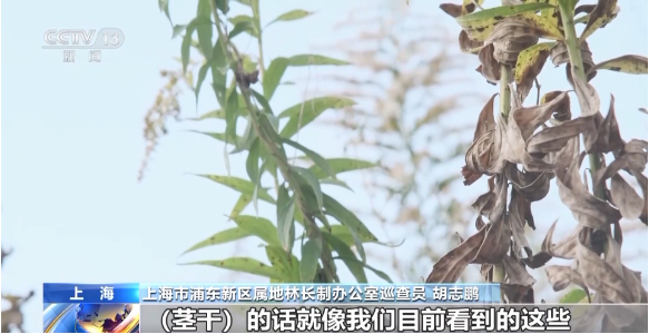 1764837726803669.png 所以会造成危害。.png