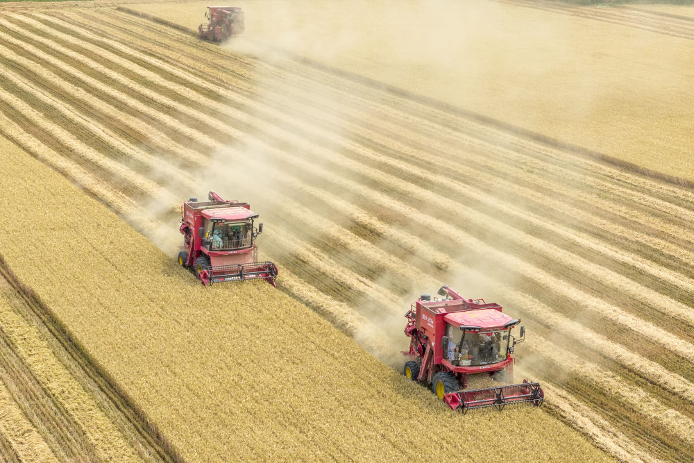 1765344737940424.jpeg 2025年6月9日,河南省.jpeg