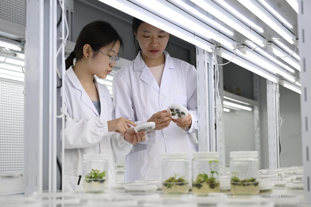 1765344756404717.jpeg 2025年7月6日,研究人员在位于.jpeg