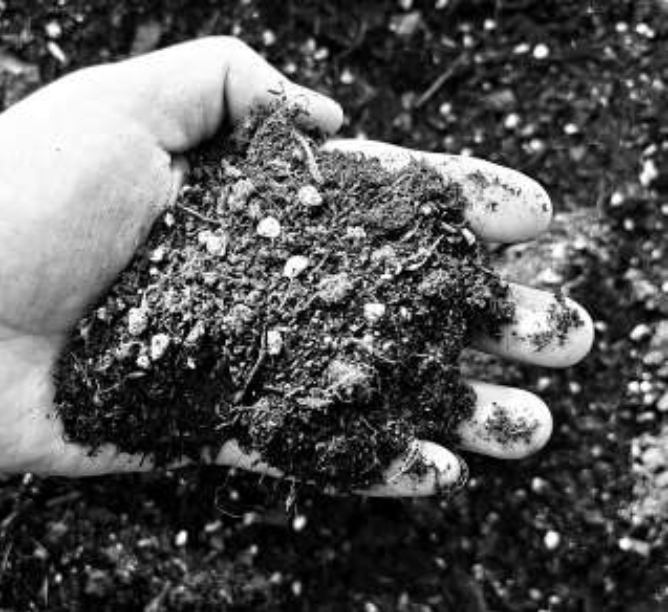 枯枝落叶制成的“黑土”。 受.png