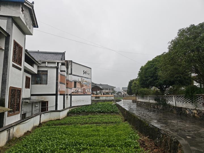 花茂村的乡间小道。.jpg