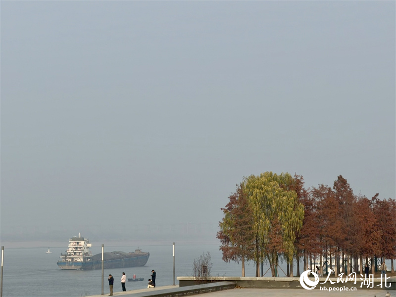 1767684976824017.jpg 冬日青山江滩。人民.jpg