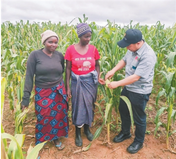 1768199571419823.png 魏健疆(右一)向当地农.png