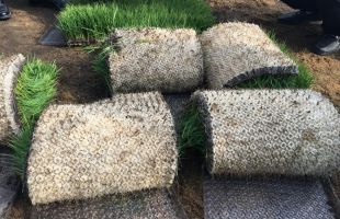 “小材料”也有“大能量”：新材料解锁更多应用场景