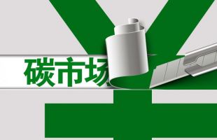 金观平：让碳市场更加活跃有效