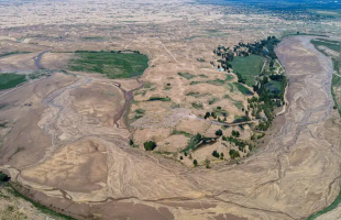 从“碗底有沙”到“眼底尽绿” 内蒙古荒漠变绿洲