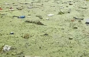 网友反映乌江开阳段成“垃圾江”，水务部门：已去航道检查