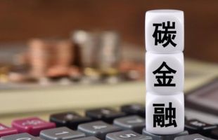 央行研究局局长王信：截至二季度末碳减排支持工具累计引导金融机构发放碳减排贷款超1.38万亿元