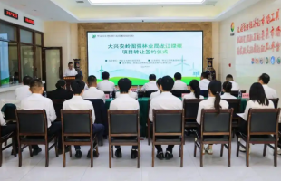 大兴安岭林业集团公司首单碳汇项目签约落槌！