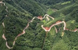 黔东南州碳汇交易额突破1100万元