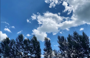 吉林省吉林市：小绥河村奏出“金色交响”