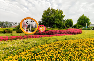 螃蟹掺假、带鱼藏钉……网购食品陷阱频现如何维权？