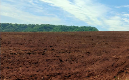 严惩非法占用农用地犯罪 筑牢耕地安全司法防线