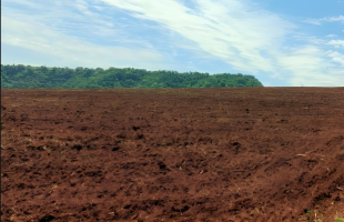 严惩非法占用农用地犯罪 筑牢耕地安全司法防线