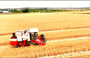 聚焦“小而美”，科技向善利万家