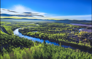 在大兴安岭林业集团看森林沟系立体经营