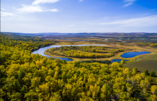 大兴安岭森林中的一颗钢钉