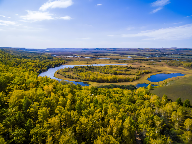 大兴安岭森林中的一颗钢钉