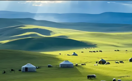 多名男女在呼伦贝尔大草原抛纸片