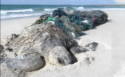 交界海域废弃网具困住海洋生物？嵊泗检察机关推动跨区域协同治理