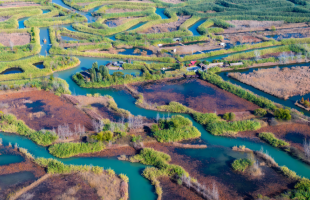 洪泽湖“鸟叔”的30年守护