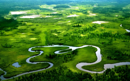 “中国绿”，绘就高质量发展底色