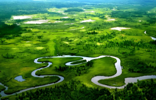 “中国绿”，绘就高质量发展底色