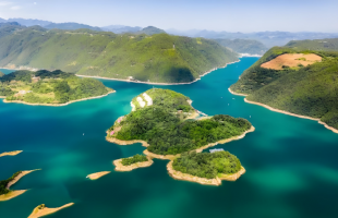 检察蓝”守护生态绿