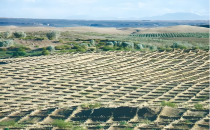 从“沙进人退”到“绿进沙退”，科技治沙有新招！  