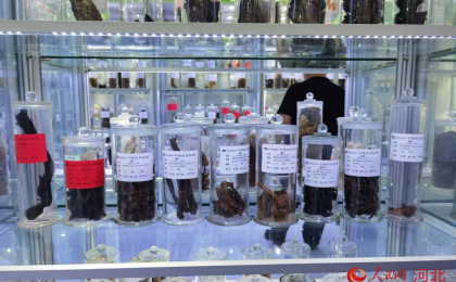 石家庄实验室里的“中药突围”