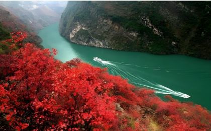 好美！多地红叶联动，一起看万山红遍