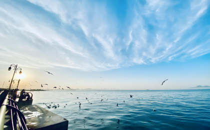 我国三大海洋经济圈持续扩能