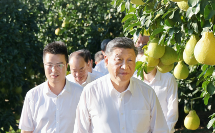一见·柚子里的“三农”情怀