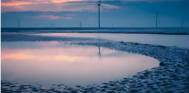  “寻鲜”游让游客“走进来、留下来”   