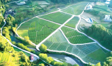 当好自然资源“大管家”和美丽中国“守护者”