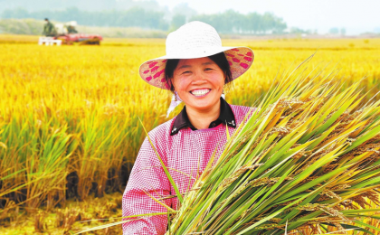  国家粮食安全得到有效保障 