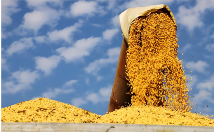 采购新模式带来农企双赢 