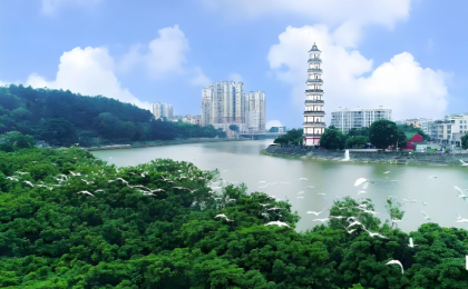 广东高州：让绿水青山成为百姓的幸福靠山  