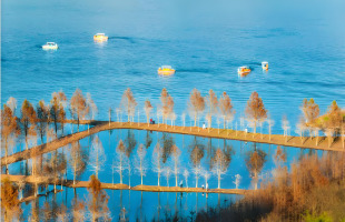  一张“碳票”换来生态红利 