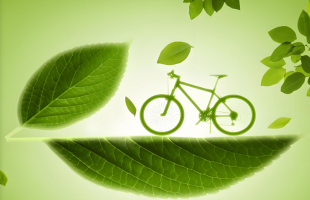 打造全国零碳转型示范标杆绿色产业集聚高地  