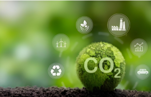 双碳”战略从顶层设计走向纵深实践  