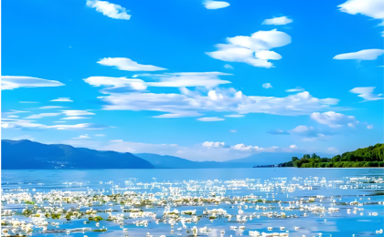 讲好“一带一路”故事 共绘美好生活画卷