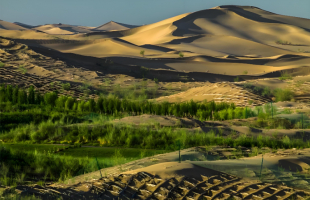 一根种子绳，适配多样防沙治沙场景   