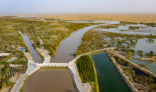 新疆：五年增绿，沙海治理惠民生