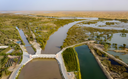 新疆：五年增绿，沙海治理惠民生
